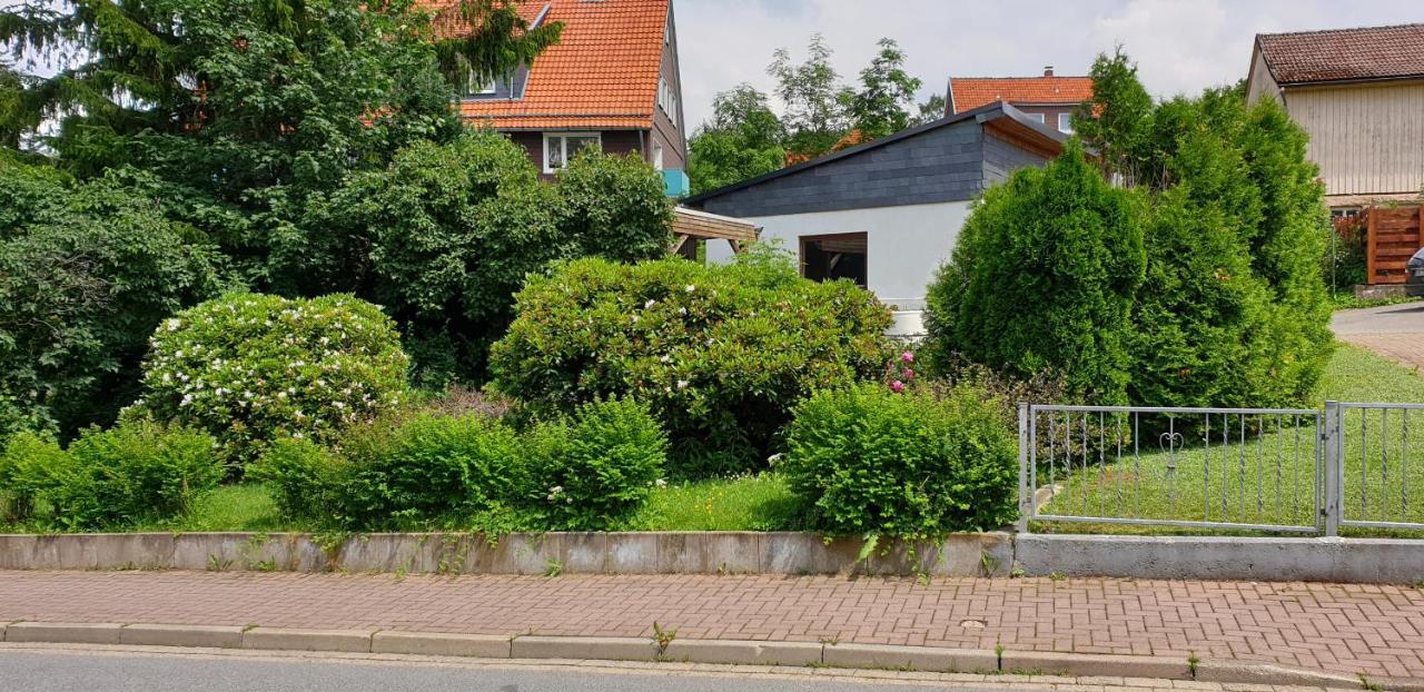 Ferienwohnung Schone Auszeit Hohegeiss Ngoại thất bức ảnh