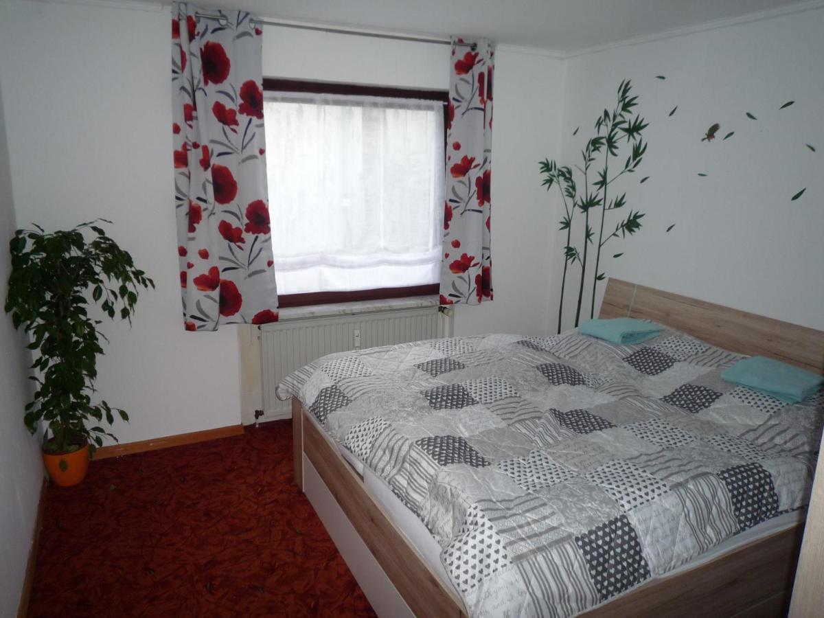 Ferienwohnung Schone Auszeit Hohegeiss Ngoại thất bức ảnh